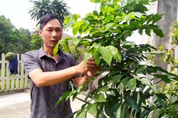 Niềm tin và kỳ vọng