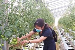 Kinh tế Nông nghiệp - Nông thôn Nông nghiệp đang đi đúng hướng