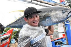 Bình Định sắp tổ chức lễ hội cá ngừ đại dương
