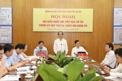 Hà Nội: Cử tri kiến nghị sớm sửa đổi, bổ sung Luật Đất đai