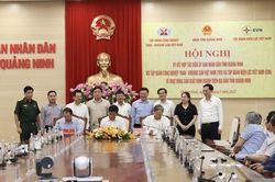 Tháo gỡ khó khăn của các ngành điện, than tại tỉnh Quảng Ninh
