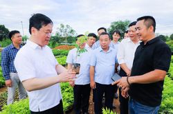 Chủ tịch UBND tỉnh Nguyễn Đức Trung thăm các mô hình kinh tế ở huyện Tân Kỳ
