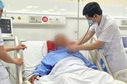 Nhầm lá ngón với lá cây beo, cả gia đình đi cấp cứu