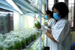 Khoa học công nghệ - 'đòn bẩy' phát triển kinh tế - xã hội