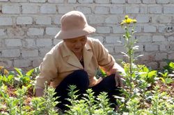 Tăng cường chuyển giao, ứng dụng khoa học công nghệ