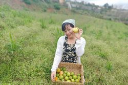 Bỏ việc ở TP.HCM, về rừng làm nông dân