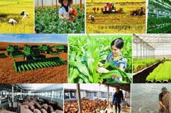 Chính sách mới về hỗ trợ bảo hiểm nông nghiệp