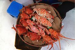 Những mẹt ghẹ vỉa hè chợ Đồng Xuân đắt khách, kiếm tiền triệu mỗi ngày