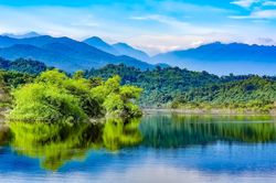 Vẻ nguyên sơ tại khu rừng Việt Nam đầu tiên tìm thấy 'kỳ lân châu Á' - sao la
