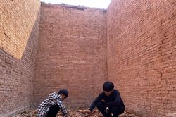 Cần sớm có giải pháp tháo dỡ lò gạch bỏ hoang ở Tân Kỳ