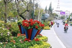 Sắc cầu vồng Cam Ly