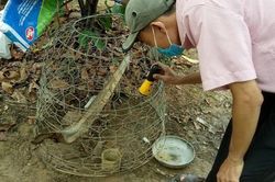 Sốt xuất huyết tăng ở Bình Định, hướng dẫn học sinh diệt muỗi…