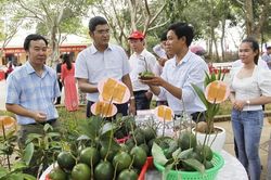 Phú Yên xử lý dứt điểm các hợp tác xã đã ngừng hoạt động trong thời gian dài