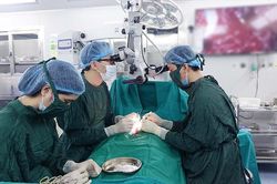 Hành trình đi tìm con của người đàn ông mắc bệnh lý đặc biệt