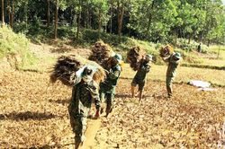 Biên giới - biển đảo Sức mạnh đoàn kết là nền tảng bảo vệ vững chắc biên giới
