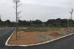Ôm mảnh ruộng ngàn m2 rồi bỏ hoang: Giấc mộng 10 năm ăn cú đậm