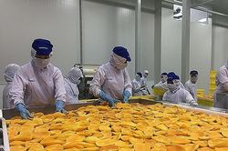 Cách nào gia tăng kim ngạch xuất khẩu nông lâm sản tại thị trường Hoa Kỳ?