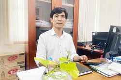 Chủ động phòng, chống dịch sốt xuất huyết