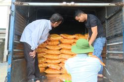Cam Lộ: Kịp thời phân bổ 34 tấn giống lúa cho nông dân sản xuất vụ hè thu