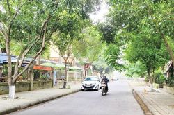 Kinh tế Tạo cơ hội cho các hộ kinh doanh rong bạ