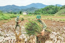 Đời sống Ngày mùa ở biên giới