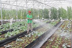 Gỡ rào cản để nâng hiệu quả sử dụng đất cho HTX