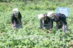 Tạo động lực phát triển