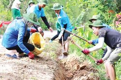 Giáo dục Tin tức giáo dục Đoàn Trường đại học Nông Lâm: Nhiều hoạt động thiết thực, ý nghĩa
