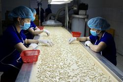 Hiệp định RCEP tạo 'đường bay thẳng' cho xuất khẩu điều