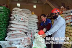Giá phân bón tăng cao: Chủ động nguồn cung – tăng cường kiểm soát giáTin khácVăn hóa soi đường cho quốc dân đíY nghĩa thiết thực từ cuộc thi tìm hiểu về tư tưởng, đạo đức, phong cách Hồ Chí Minh