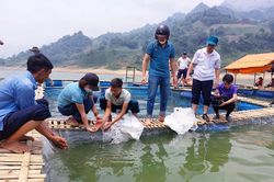 Nàn Sín phát triển nhiều mô hình kinh tế