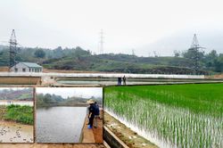 Tăng cường nghiên cứu khoa học và công nghệ