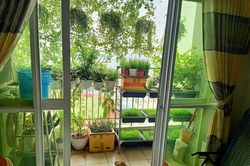 Cách tránh nắng nóng vào mùa hè cho ban công nhà hướng Tây vừa rẻ vừa hiệu quả của mẹ Sài Gòn