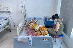 TP Hồ Chí Minh: Sốt xuất huyết tiếp tục diễn biến phức tạp, số ca nặng tăng 500%