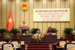 Đại biểu HĐND TP đề nghị quan tâm tính thẩm mỹ dự án Vành đai 4