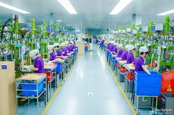 Đào tạo nghề: Tinh gọn số cơ sở, đầu tư trọng điểm để 'cung' khớp 'cầu'