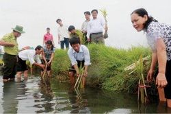 Kinh tế Kinh tế Bảo vệ 'di sản thiên nhiên'