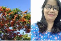 Không lấy là lấy
