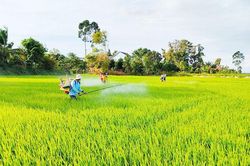 Nông nghiệp sinh thái, nông thôn hiện đại
