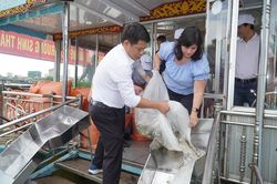 Thả cá tái tạo nguồn lợi thủy sản sông Hương