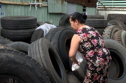 Đà Nẵng: Tập trung xử lý ổ dịch sốt xuất huyết có nguy cơ cao