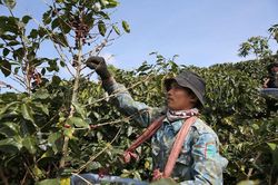 Hợp tác xã, doanh nghiệp, hộ kinh doanh được hỗ trợ lãi suất 2%/năm