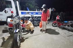 Giữ bình yên, an toàn những 'cung đường mây trắng'