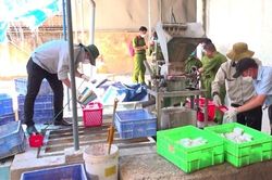 Khởi tố vụ chôn chất thải gây ô nhiễm tại Công ty CP Bóng đèn Điện Quang