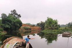 Thanh Hóa: Cá chết khi nước đập đổi màu xanh rêu, đen kịt