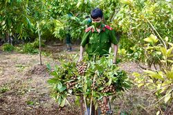 Hành động quyết liệt hơn để nâng cao chất lượng tổ chức đảng và đảng viên