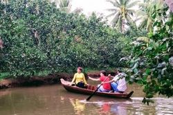 Điểm du lịch sinh thái Cồn Hô