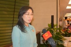 Đại biểu Quốc hội: Sàng lọc, xử lý nghiêm các trường hợp 'ăn theo' giá xăng dầu để trục lợi