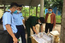 Bắt giữ hơn 400 kg phụ phẩm lợn đã thối