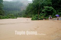 Mưa lớn gây thiệt hại tại nhiều địa phương trong tỉnh
